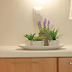 Elvira-maria And Elvira Apartmán